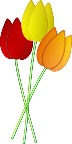 Elegant Spring Tulips Clipart: Colorful Botanical Illustration with Charming Blossoms