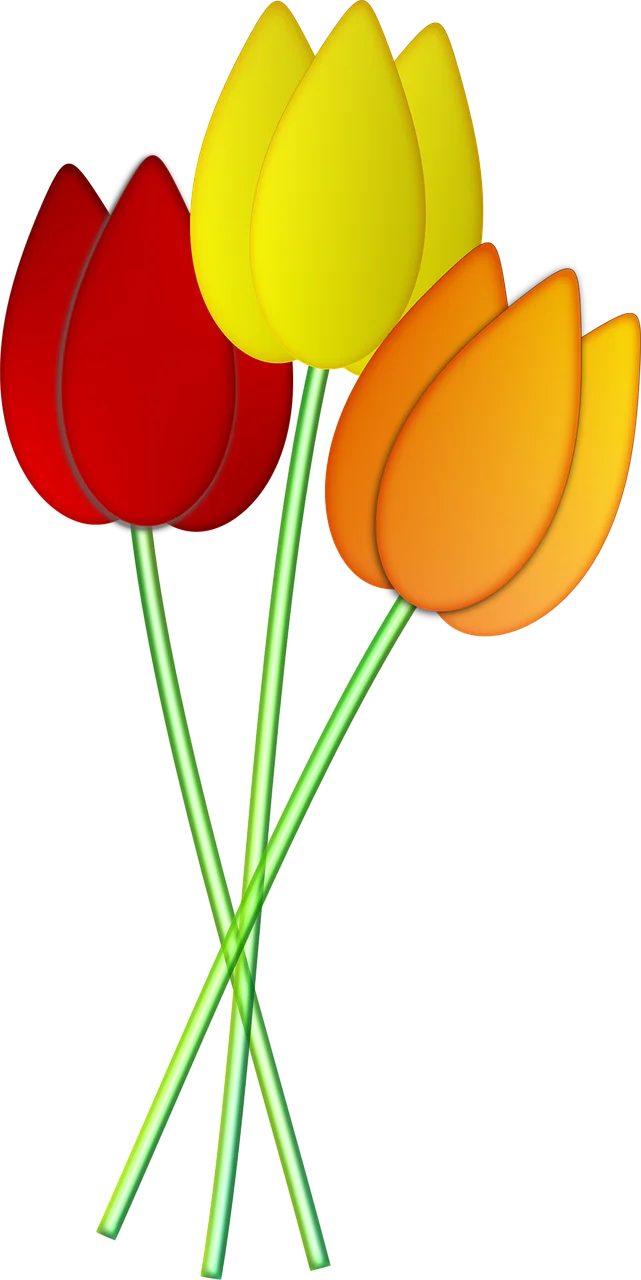 Elegant Spring Tulips Clipart: Colorful Botanical Illustration with Charming Blossoms