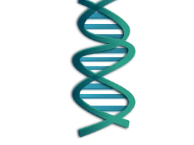 Elegant Teal Double Helix DNA Strand Molecular Biology Clipart Illustration