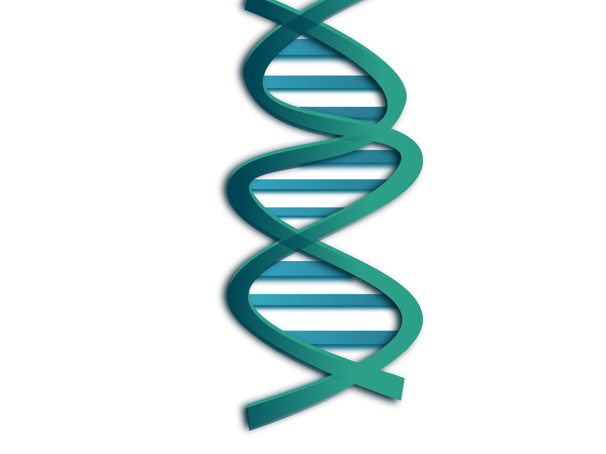 Elegant Teal Double Helix DNA Strand Molecular Biology Clipart Illustration