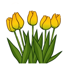 Golden Yellow Spring Tulips Botanical Clipart Illustration Design
