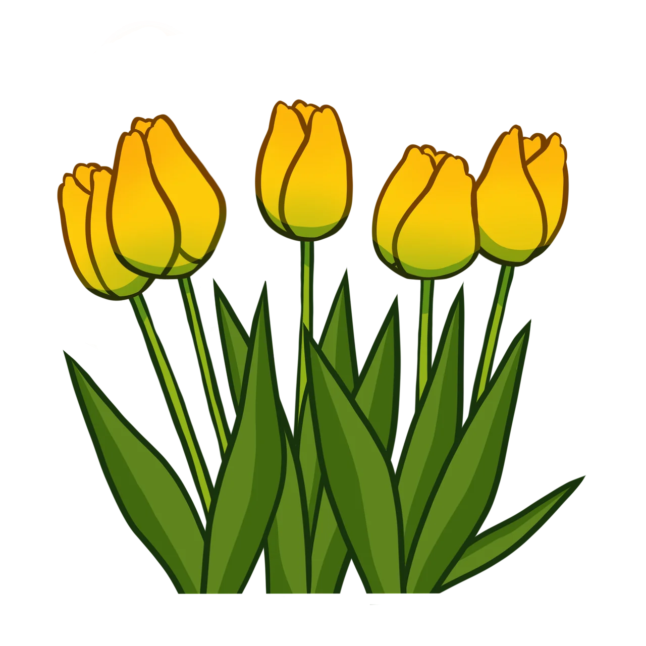 Golden Yellow Spring Tulips Botanical Clipart Illustration Design