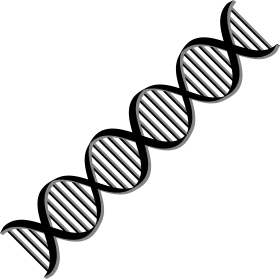 Monochromatic Double Helix DNA Strand Scientific Clipart Illustration