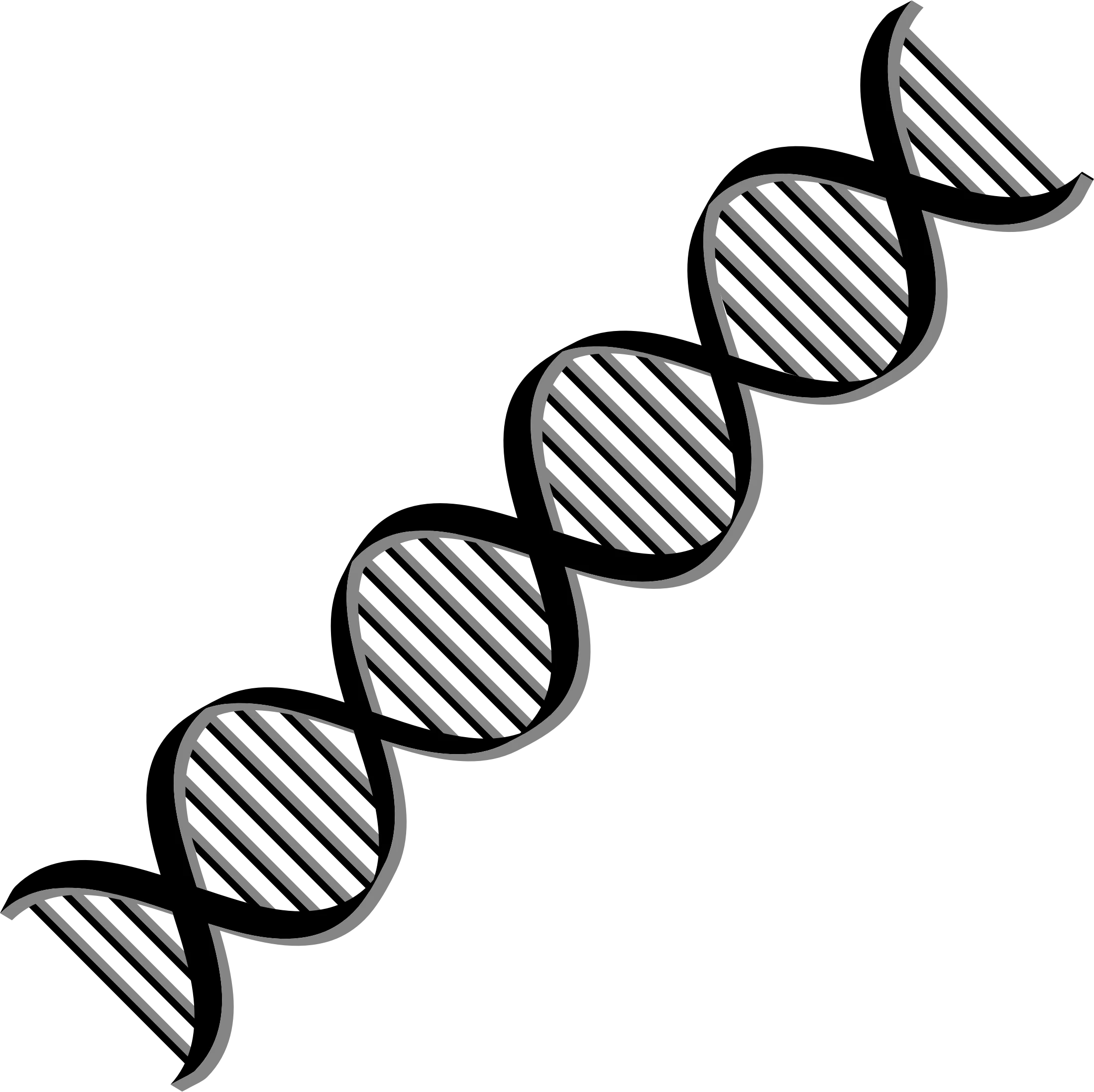 Monochromatic Double Helix DNA Strand Scientific Clipart Illustration