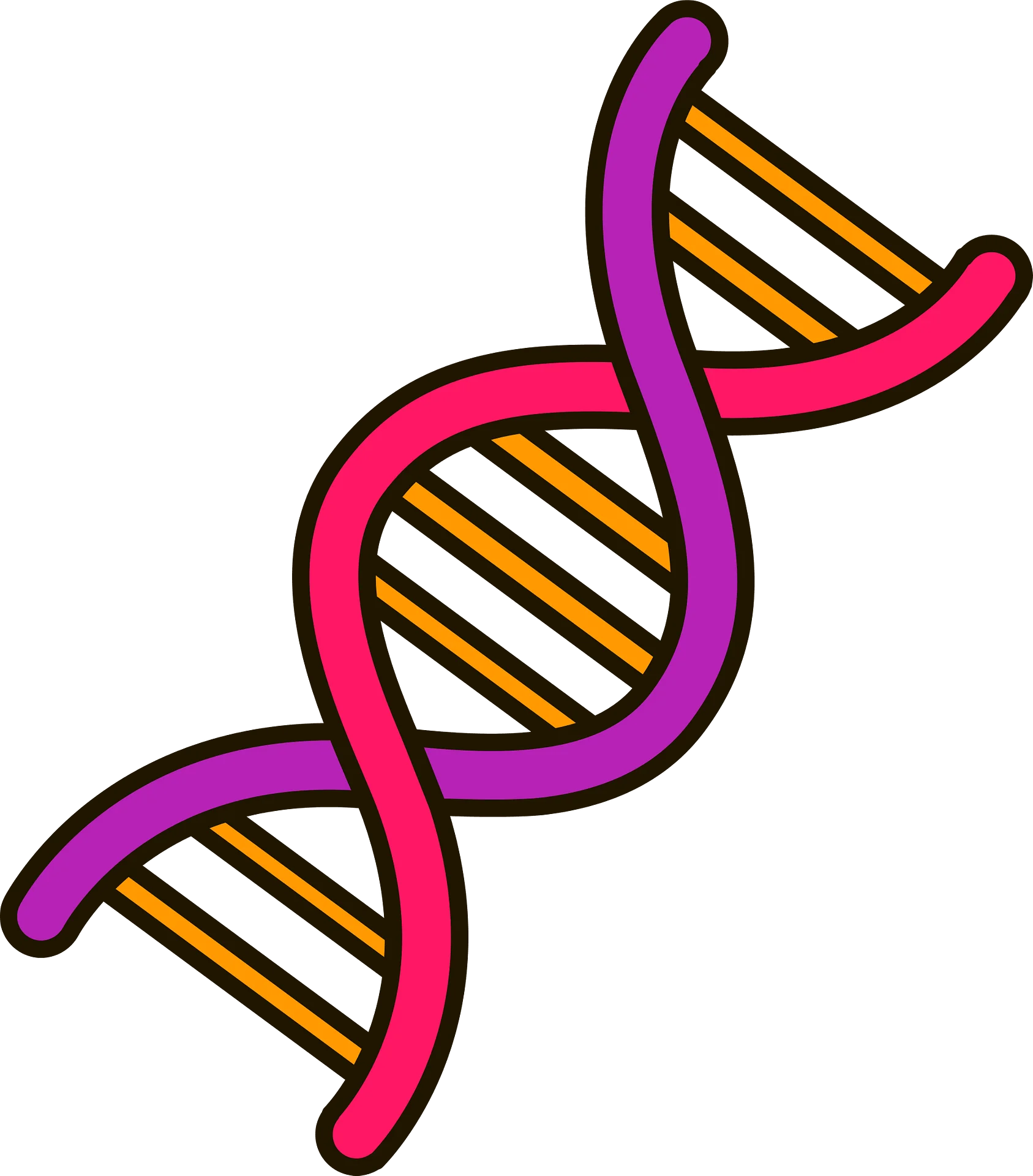 Scientific DNA Double Helix Molecular Structure Genetic Clipart Illustration