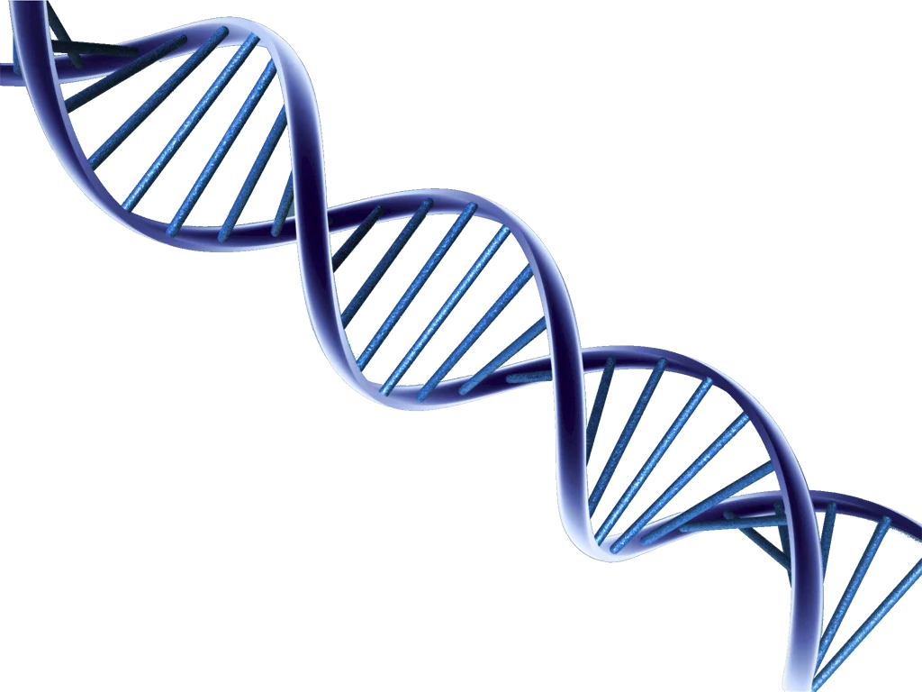 Scientific Double Helix DNA Molecular Structure Clipart Illustration Design