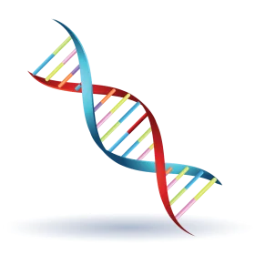 Scientific Illustration of DNA Double Helix Structure Molecular Genetics Clipart