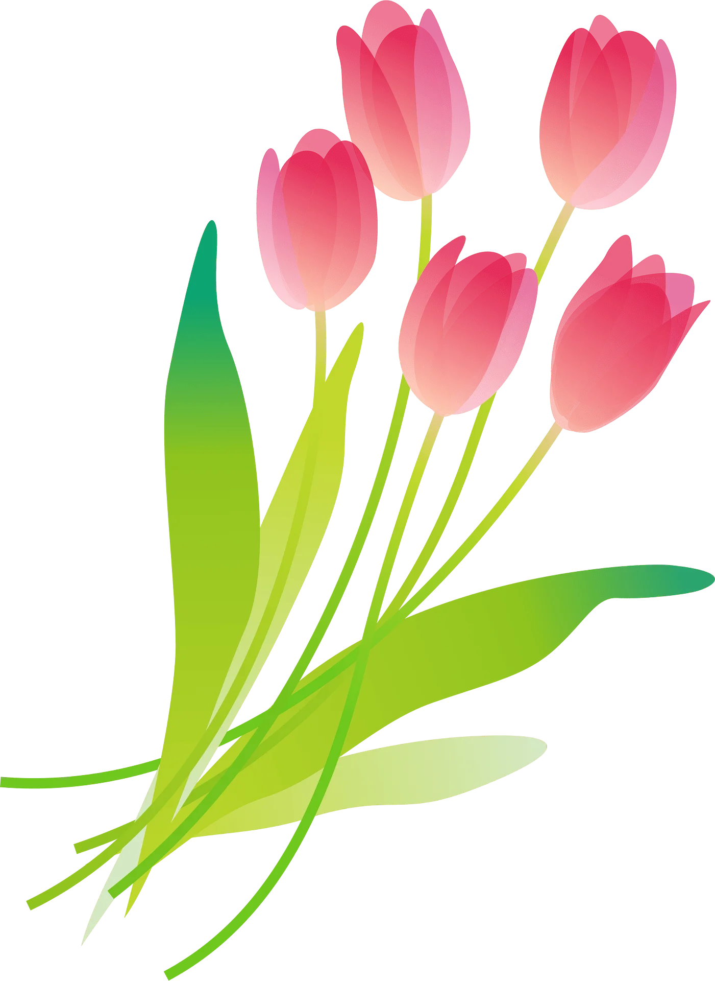 Soft Pink Tulip Blossoms Dancing in Delicate Watercolor Clipart Style