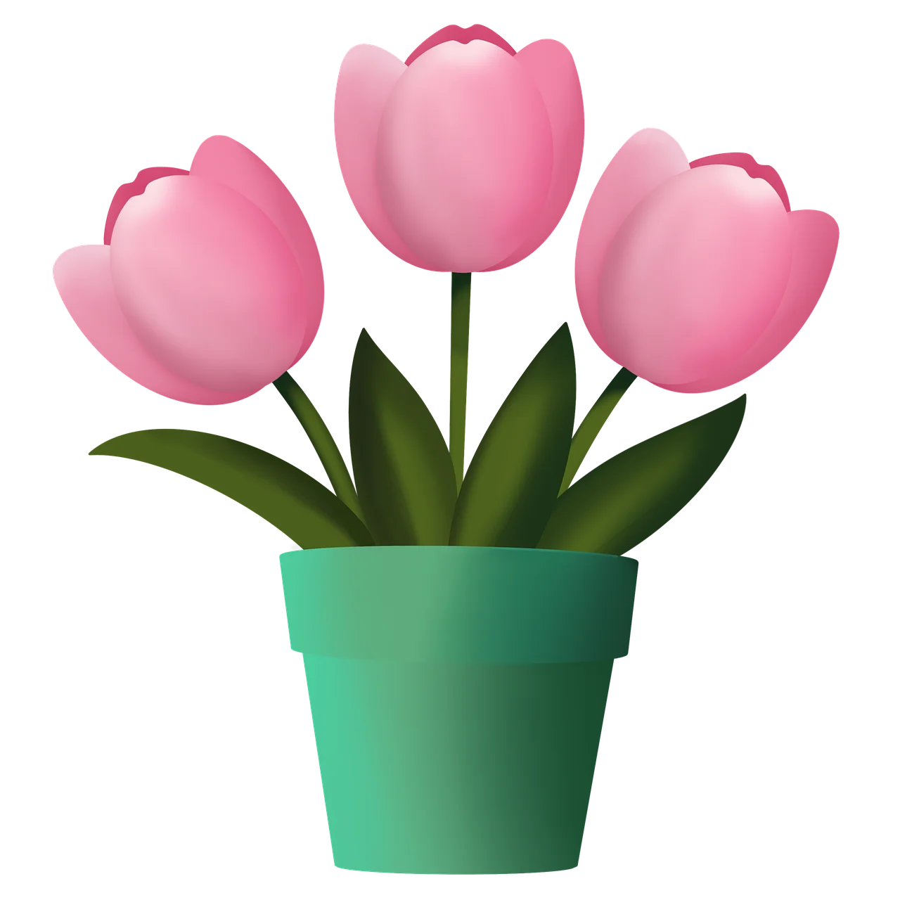 Soft Pink Tulips Clipart: Charming Spring Blossoms in a Teal Ceramic Pot