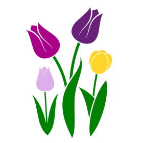 Spring Blooming Tulip Flowers Elegant Simple Modern Floral Clipart Design