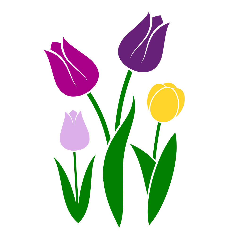 Spring Blooming Tulip Flowers Elegant Simple Modern Floral Clipart Design