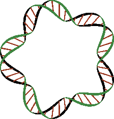 Stylized DNA Double Helix Molecular Structure Graphic Clipart Illustration