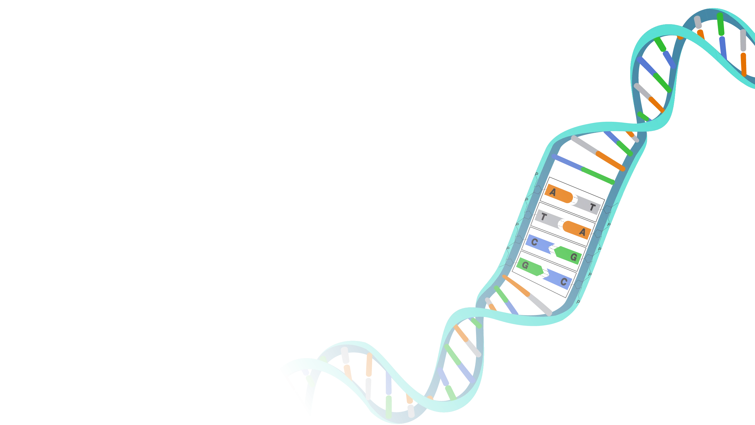 Stylized DNA Double Helix Molecular Structure Scientific Clipart Illustration