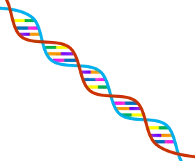 Stylized Double Helix DNA Strand Molecular Biology Genetic Clipart Illustration