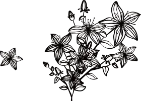 Elegant Black and White Botanical Floral Clipart with Intricate Petal Designs