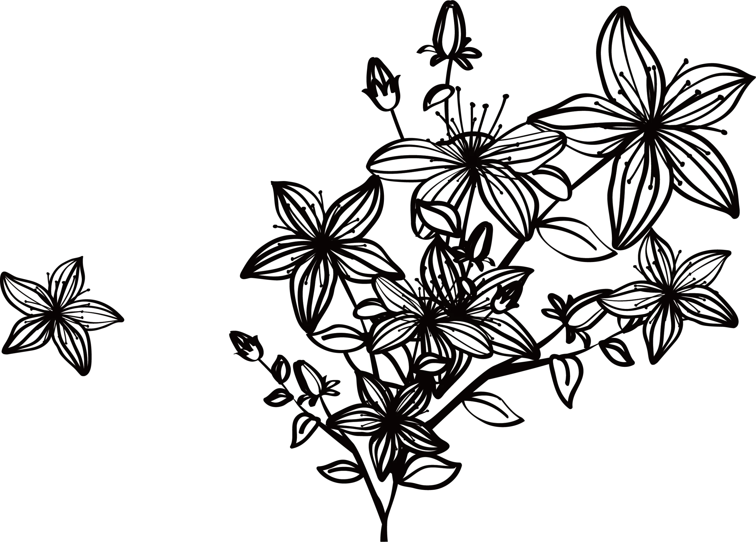 Elegant Black and White Botanical Floral Clipart with Intricate Petal Designs
