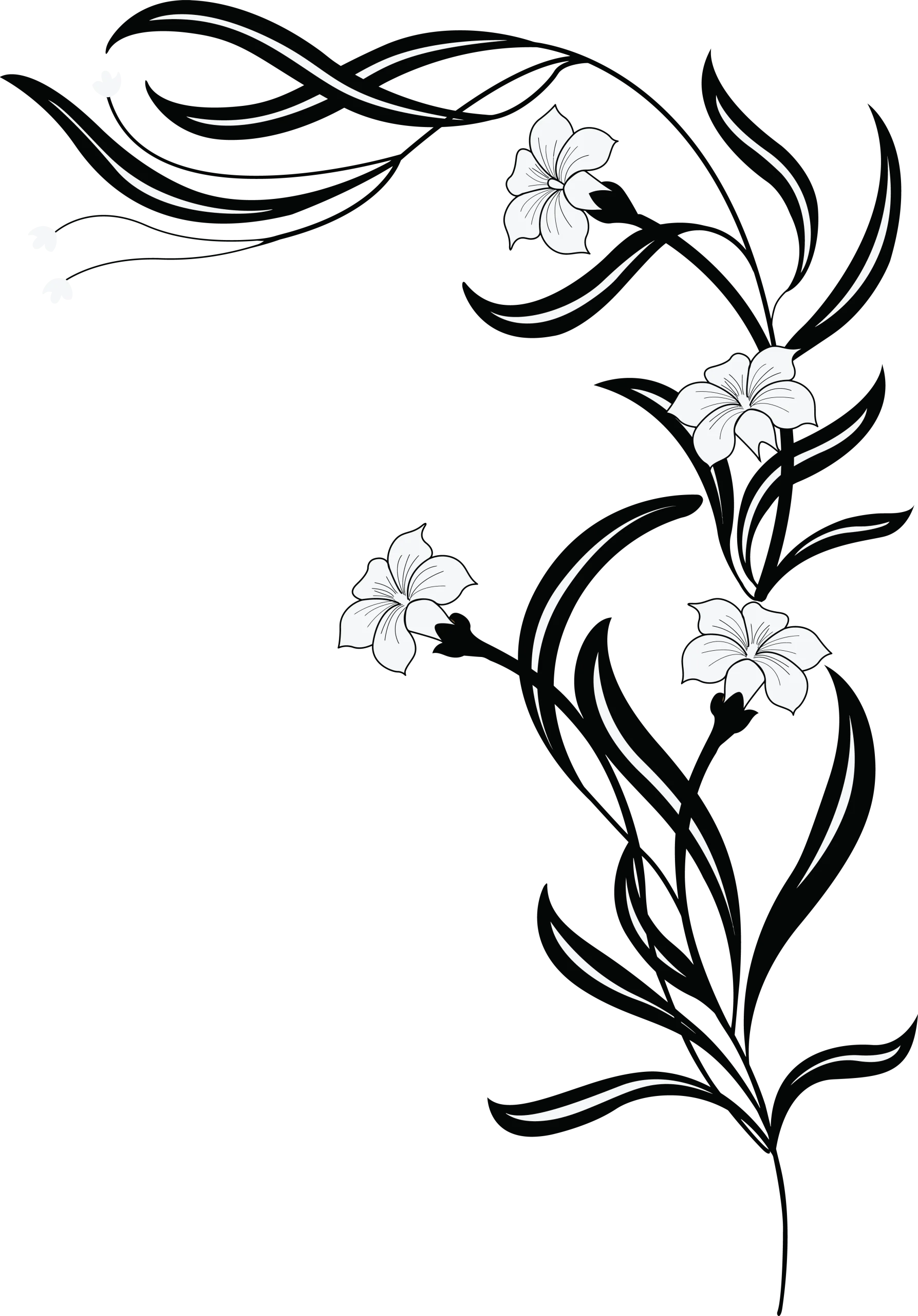 Elegant Black and White Floral Clipart with Graceful Swirling Stems and Delicate Blossoms