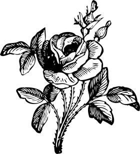 Elegant Black and White Rose Botanical Clipart with Intricate Leaf Details