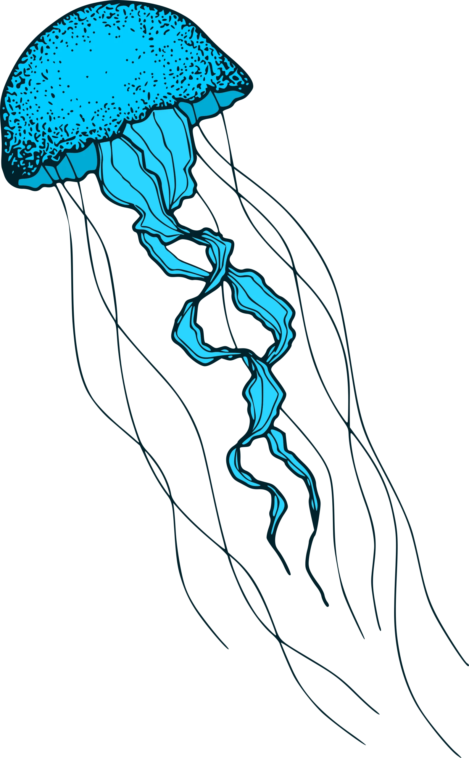 Ethereal Blue Aquatic Jellyfish Clipart with Delicate Translucent Tendrils
