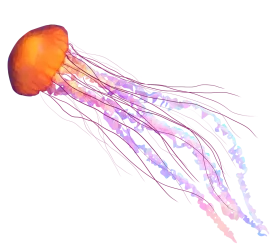 Ethereal Floating Jellyfish Watercolor Clipart with Luminescent Tentacles