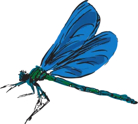 Azure and Emerald Dragonfly Clipart: Delicate Wings of Summer's Grace