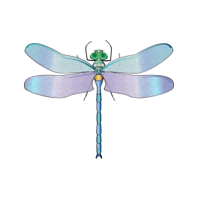 Delicate Pastel Blue and Green Dragonfly Ethereal Watercolor Clipart Design
