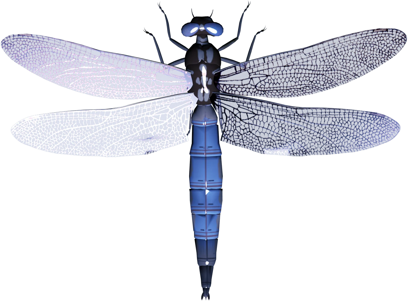 Elegant Blue and Gray Dragonfly Clipart with Intricate Wing Details