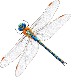 Elegant Blue and Orange Dragonfly Clipart with Translucent Gossamer Wings
