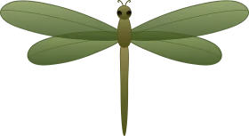 Elegant Green Dragonfly Clipart Illustration with Delicate Wing Details