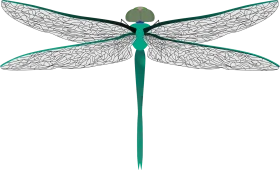 Elegant Green Dragonfly Clipart with Intricate Lace-like Wing Patterns