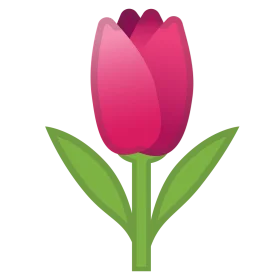Elegant Pink Tulip Blossom Clipart with Soft Gradient Petals and Green Stem