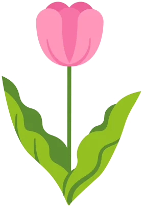 Elegant Pink Tulip Clipart: A Delicate Floral Illustration for Design Projects