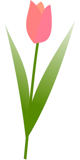 Elegant Pink Tulip Clipart Illustration with Soft Gradient Leaves