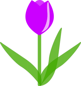 Elegant Purple Tulip Clipart: A Stylized Botanical Digital Illustration