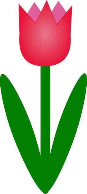 Elegant Red Tulip Blossom with Green Leaves Simple Vector Clipart Design