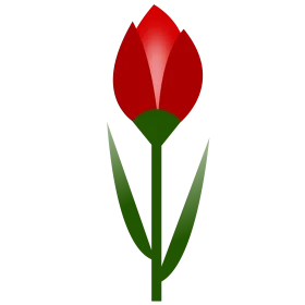 Elegant Red Tulip Botanical Clipart Illustration with Smooth Geometric Design