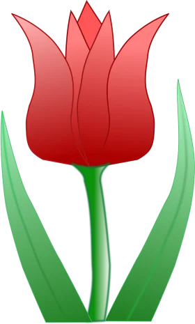 Elegant Red Tulip Clipart: A Stylized Botanical Illustration with Green Stem