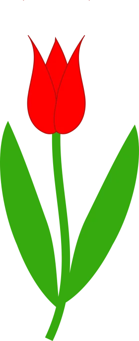 Elegant Red Tulip Clipart Illustration with Verdant Green Stem and Leaves