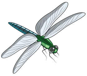 Majestic Green Dragonfly Clipart with Delicate Translucent Wings