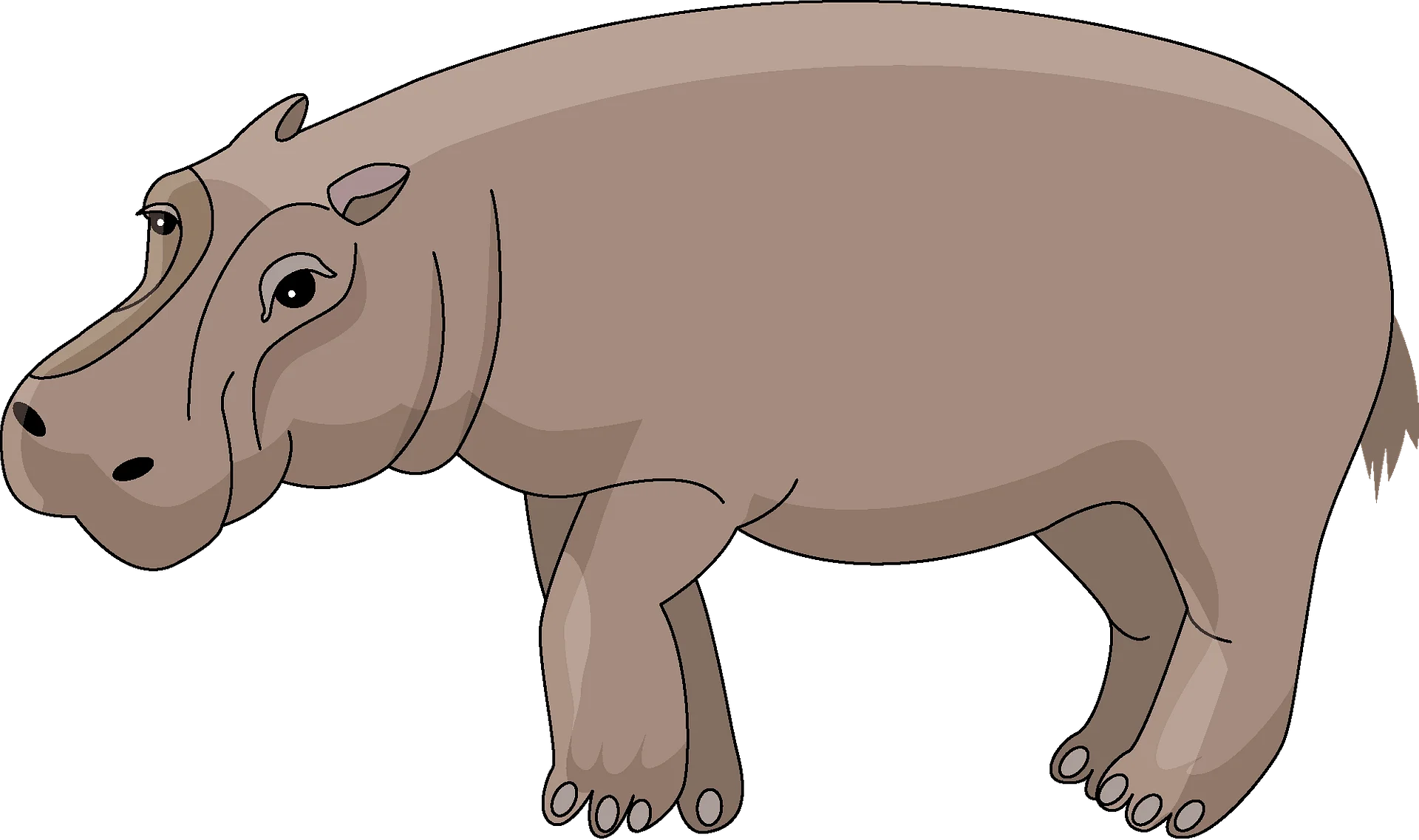 Realistic Earthy-Toned Hippopotamus Clipart Illustration with Soft Contours