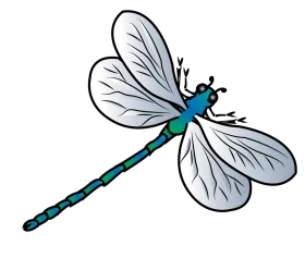 Sleek Blue and Teal Dragonfly Clipart with Delicate Translucent Wings