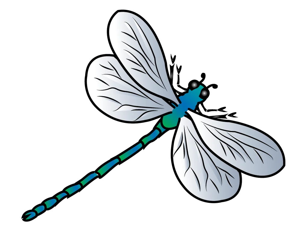 Sleek Blue and Teal Dragonfly Clipart with Delicate Translucent Wings
