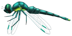 Sleek Metallic Teal Dragonfly Clipart Illustration with Sharp Angular Design