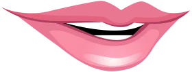 Soft Pink Feminine Lips Clipart Illustration with Gentle Smile