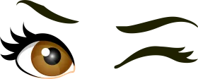 Expressive Brown Eye and Eyebrow Clipart Illustration with Playful Wink Design