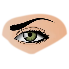 Realistic Green-Eyed Human Eye Clipart with Elegant Eyebrow Illustration