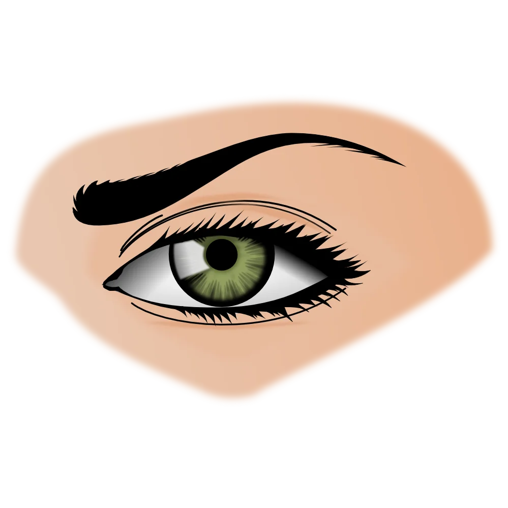 Realistic Green-Eyed Human Eye Clipart with Elegant Eyebrow Illustration