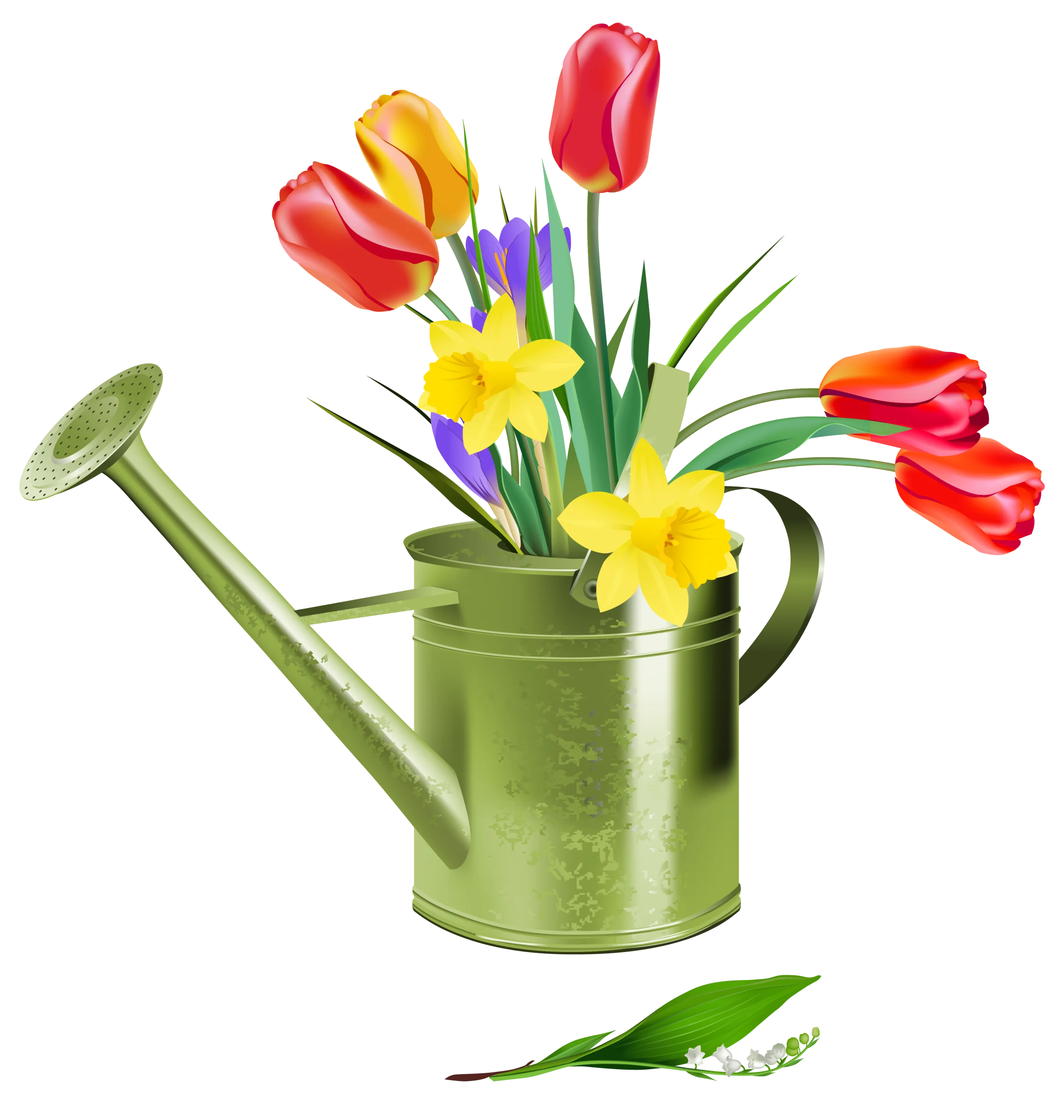 Charming Spring Garden Clipart with Tulips and Daffodils in Vintage Watering Can