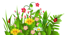 Cheerful Spring Garden Clipart with Blooming Flowers and Lush Green Leaves