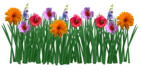 Cheerful Spring Garden Clipart with Colorful Blooming Flowers and Green Stems